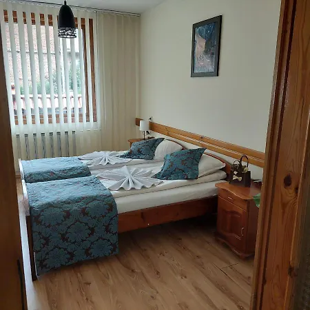 Planinski Zdravets Guest house 3*