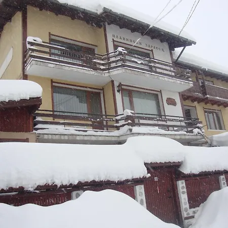 Planinski Zdravets Pensionat 3*