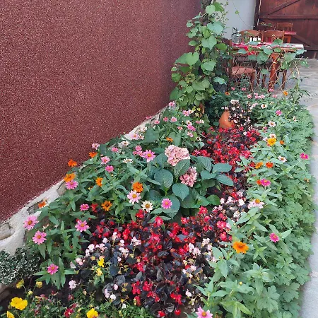 Planinski Zdravets Pensionat