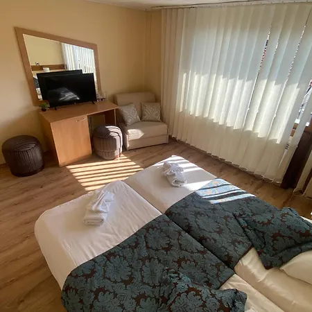 Planinski Zdravets Pensionat 3*