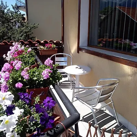 планински здравец 3*