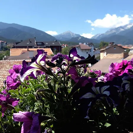 Pensionat Planinski Zdravets Bansko