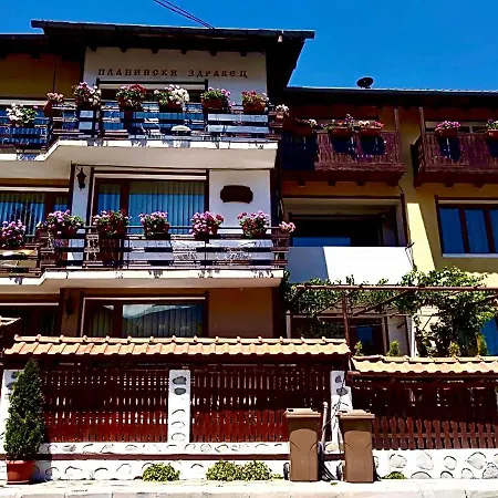 Gasthuis Planinski Zdravets Bansko