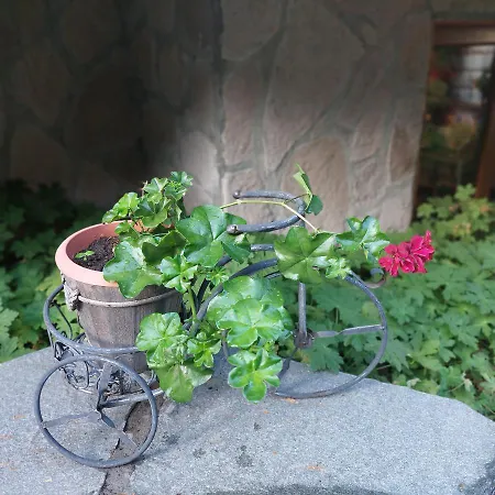 בית הארחה Planinski Zdravets