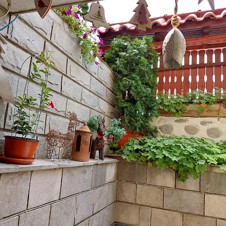 בית הארחה Planinski Zdravets בנסקו