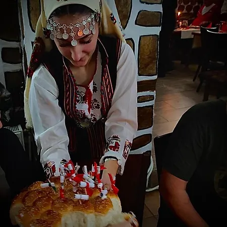 Planinski Zdravets בית הארחה בנסקו