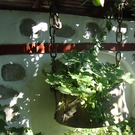 天竺葵山旅馆 班斯科