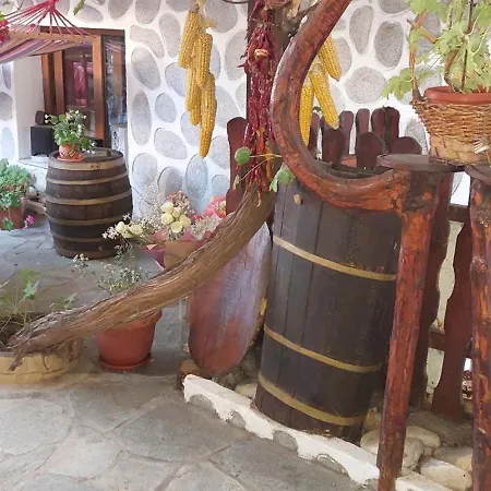 Πανσιόν Planinski Zdravets Μπάνσκο