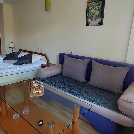 בית הארחה Planinski Zdravets