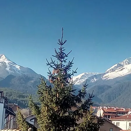 招待所 天竺葵山旅馆 班斯科