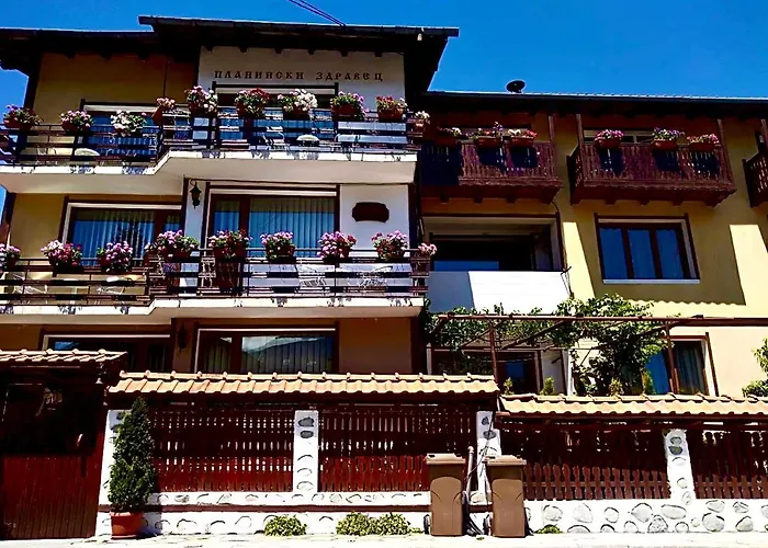 Guest house Planinski Zdravets Bansko