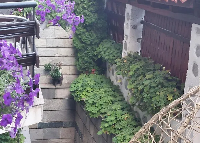 Maison d'hôtes Planinski Zdravets 3*