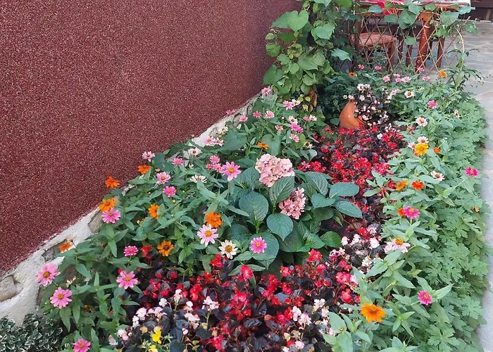 Planinski Zdravets Guest house