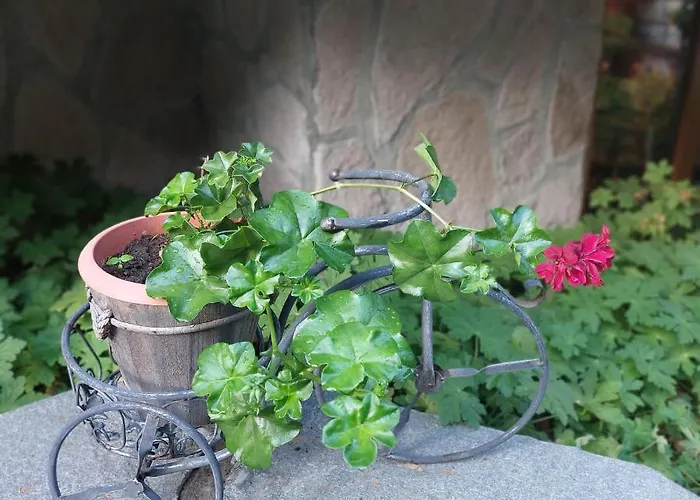 Guest house Planinski Zdravets