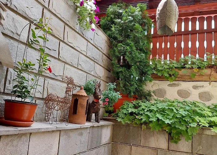 Guest house Planinski Zdravets Bansko