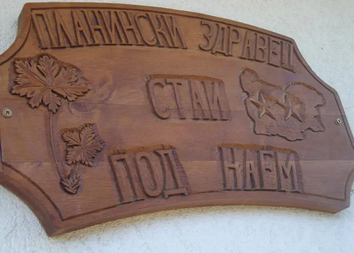 Guest house Planinski Zdravets Bansko