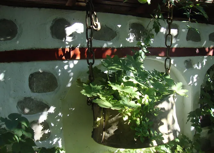 Planinski Zdravets Bansko