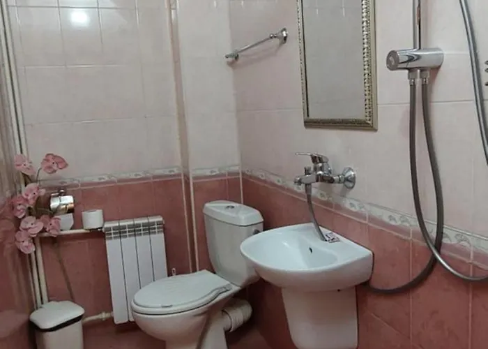 Guest house Planinski Zdravets