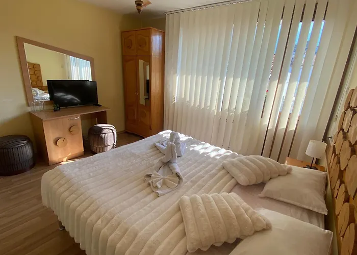 Guest house Planinski Zdravets Bansko