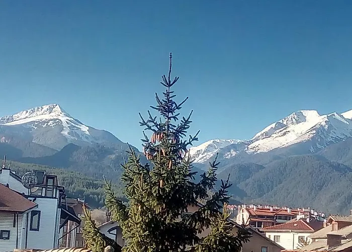 Maison d'hôtes Planinski Zdravets Bansko
