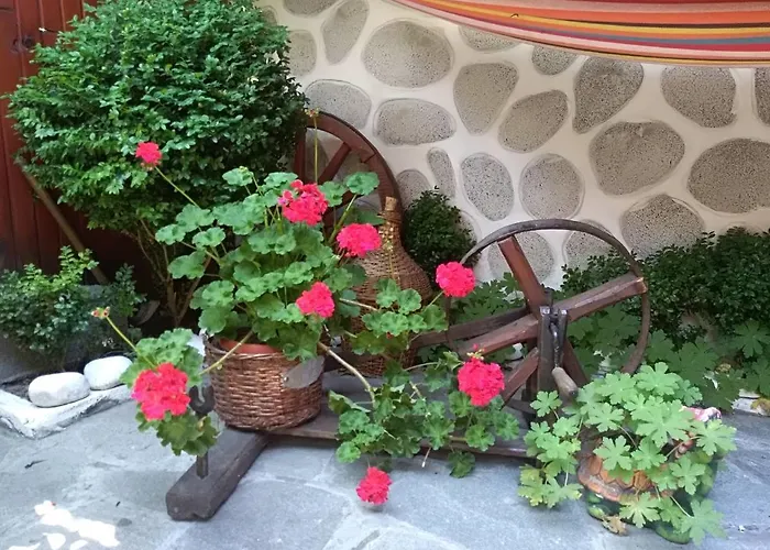 Guest house Planinski Zdravets Bansko