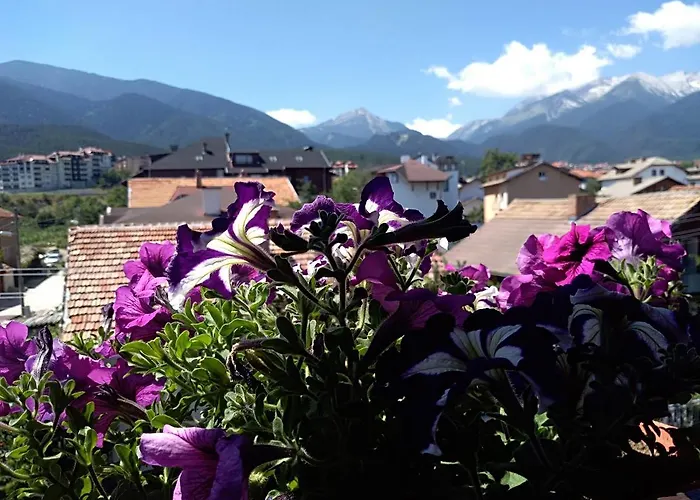 Maison d'hôtes Planinski Zdravets Bansko